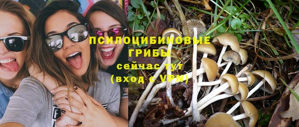 MESCALINE Белокуриха
