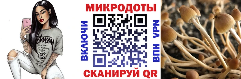 Псилоцибиновые грибы GOLDEN TEACHER  OMG   дарк нет официальный сайт  Самара 
